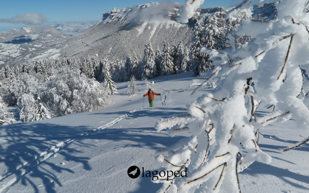 École de ski de montagne Lagoped : la Base (ou Basic)